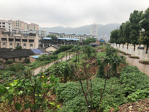 祁东县迎宾南路西侧太阳升村地段拍卖 (1)