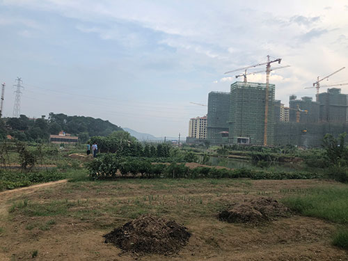 衡南县三塘镇编号ST56-1地块拍卖 (2)