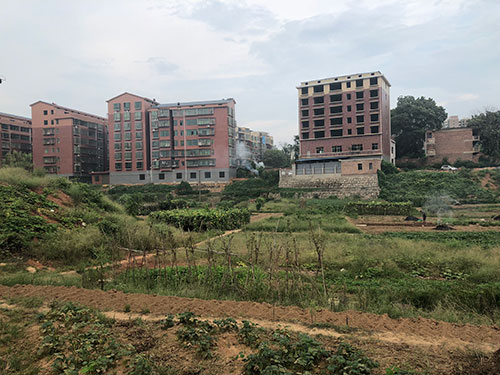 衡南县三塘镇编号ST56-1地块拍卖 (3)