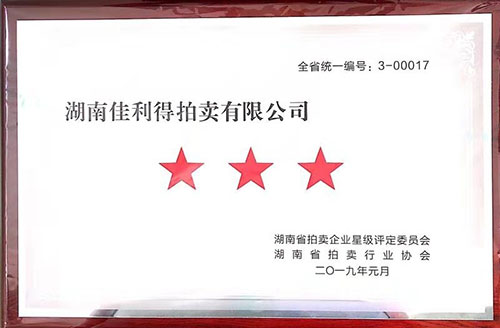 湖南佳利得拍卖有限公司,衡阳综合性拍卖业务