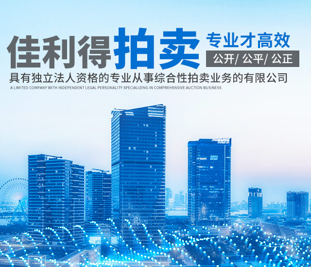 湖南佳利得拍卖有限公司_衡阳综合性拍卖业务